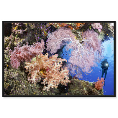 Reef with Diver Nature Art Prints by Notoriart