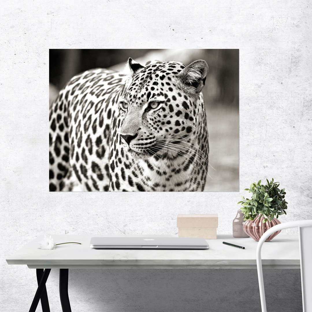 Kunstdruck Porträt eines Leoparden, Südafrika