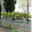 Centre de table orchidée Driftwood Cymbidium-898860794-898860772