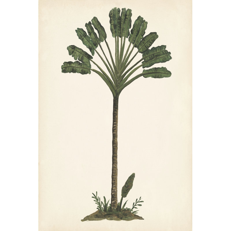 Palm Tree Study I - Wrapped Canvas Art Prints, 30cm H x 20cm W x 3.8cm D