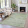 Machine Washable Indoor/Outdoor Xhevrie Aloe Rug