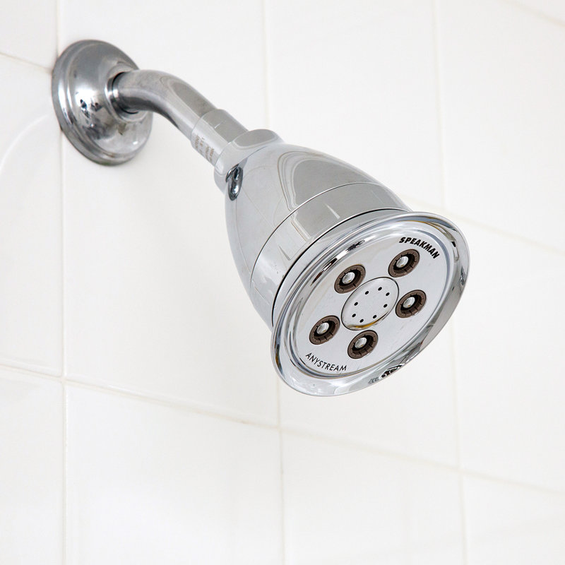 Polished Chrome Adjustable Shower Head with Filter and Jet Spray