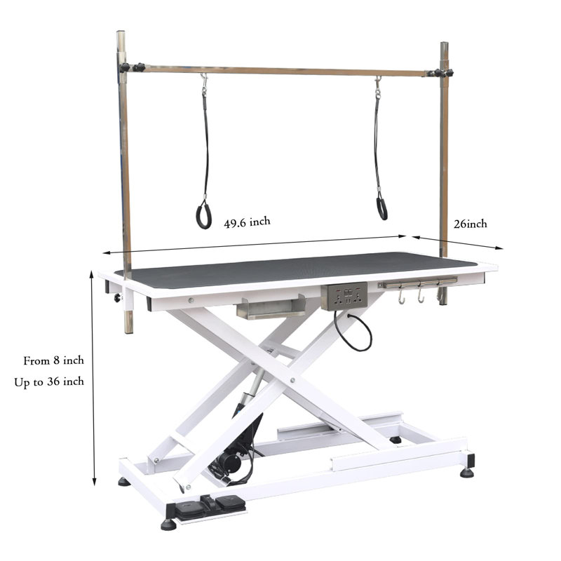 Professional Electric Grooming Table, White