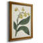 " Antique Botanical Collection X "-79630262