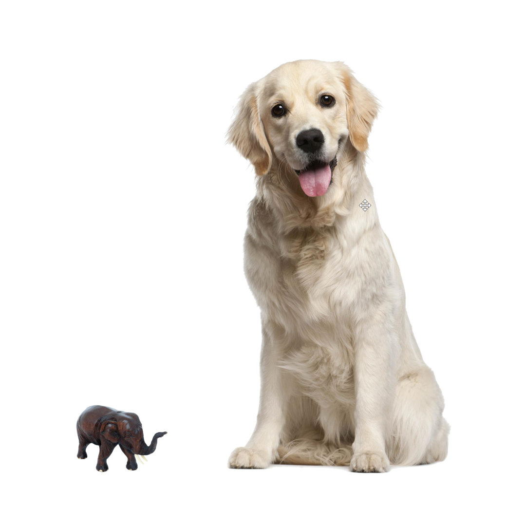 Kitley Animals Figurines & Sculptures World Menagerie