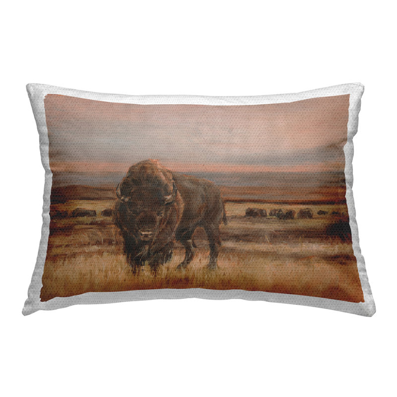 Coussin d'extérieur Southwestern Bison Landscape par Ethan Harper