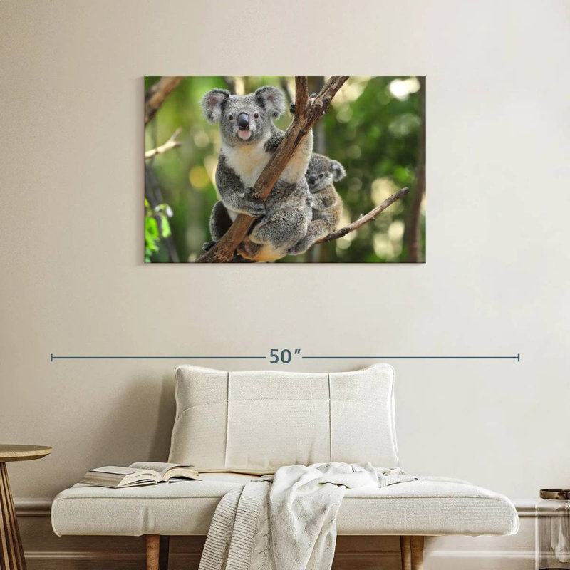Australian Koala Bears, 24" H x 36" W