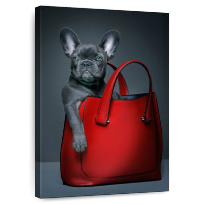 Bouledogue français dans un sac