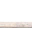 Beige Groton / gris-514152386