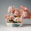 Genuine Rose Quartz Gemstone Bonsai Tree in Oval Ceramic Pot (7")