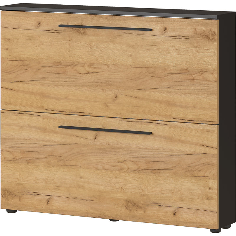 Wildomar Shoe Storage Cabinet, Graphite/Oak