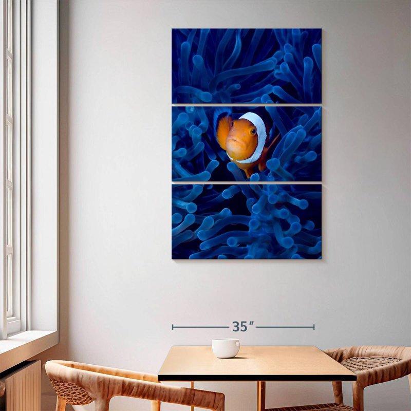 Poisson-clown Brampt Blue Anemone, H 65 po x l 42 po