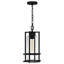 Mini-luminaire suspendu 1 lumière noir terre