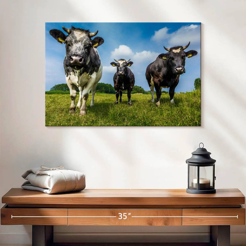 Vache, H 16 po x l 24 po
