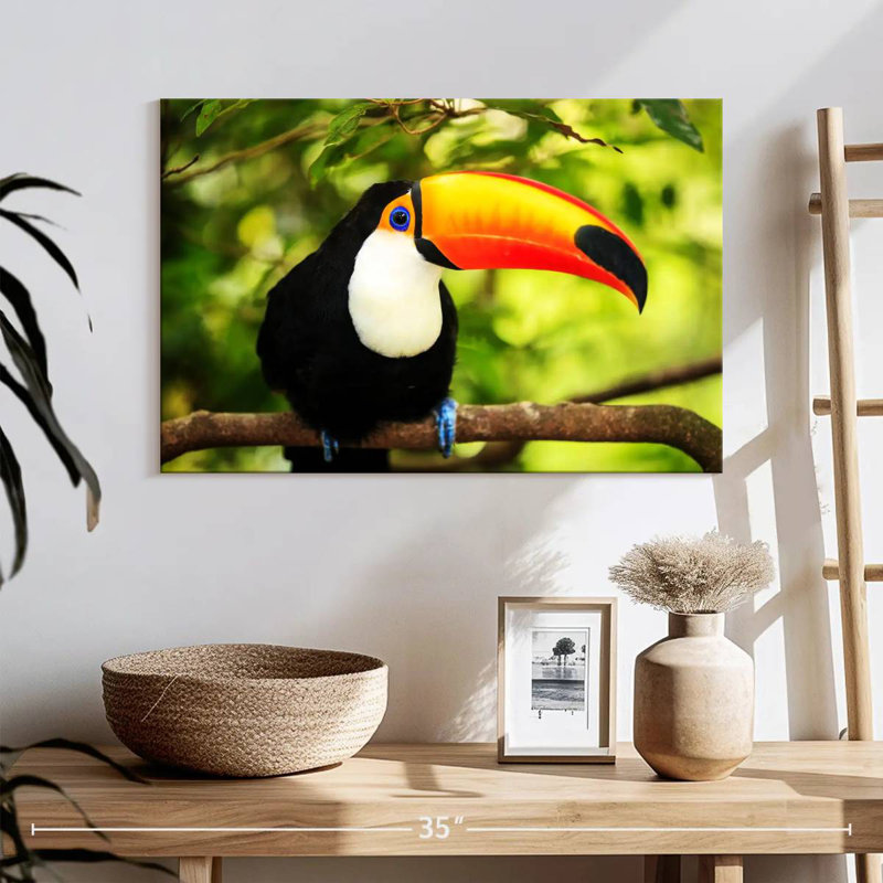 Brampt Toco Toucan, 16" H x 24" W
