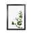 Black Grain Frame is unavailable