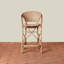 Antibes Counter Stool In Terracotta