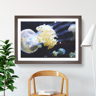 Jellyfish Vol.3 - Picture Frame Painting