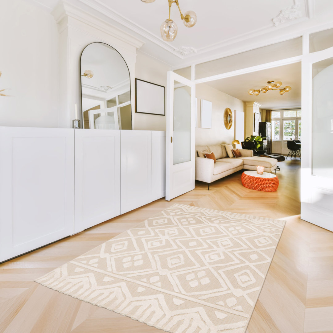 Moroccan Indoor / Outdoor Area Rug