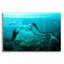 «Sleeping Mermaid» par Ata Alishahi-1699100348