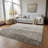 Lavonia Washable Ombre Indoor / Outdoor Rug-992499730