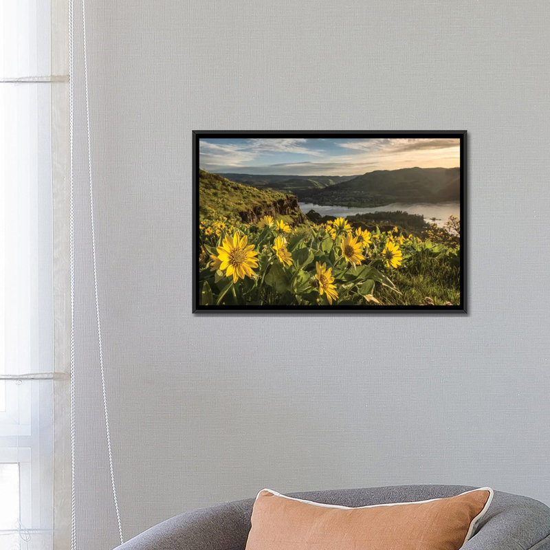 « tremping up the sun », impression sur toile, H 18 po x l 26 po x P 1,5 po, Toile avec cadre noir, Pas de tapis