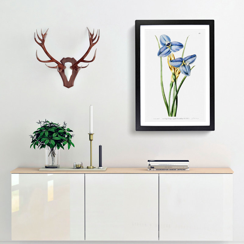 Blue Iris Flowers - Picture Frame Painting, Black, 50cm H x 35cm W x 2cm D