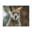 No Frame Print on Canvas-373177988