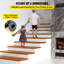 Rampe d'escalier-62609640