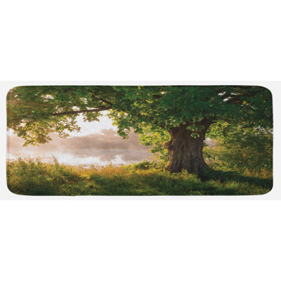 Tapis de cuisine Tree