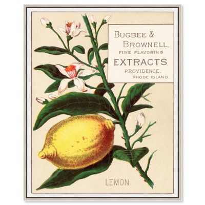 Lemon Canvas by Art Remedy