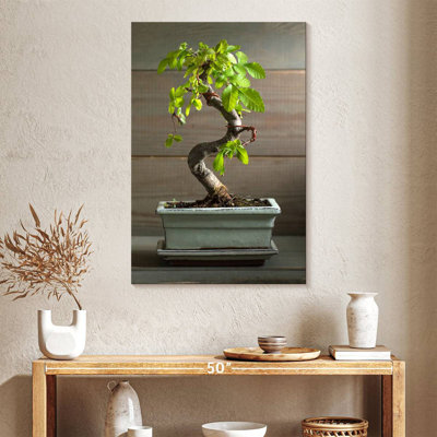 Bonsai Tree In A Pot