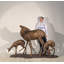 Deer Bronze Garden Statue