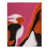 Pink/Orange/Black/White is out of stock selected