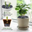 Natural Stone Landscape & Nature Garden Stone