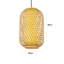 Ambert 1 - Light Unique/Statement Chandelier