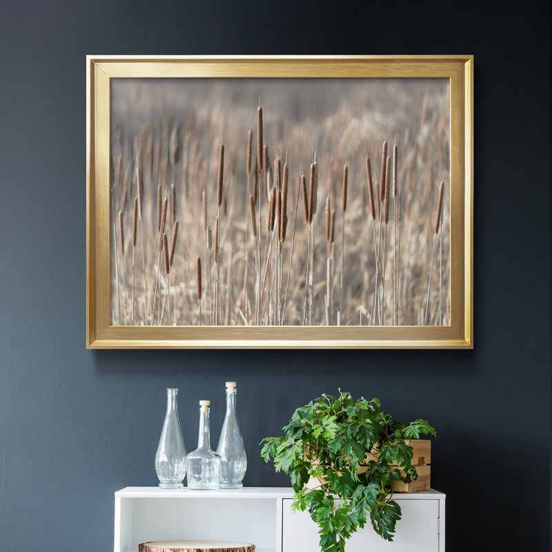 Summer Tails - Photographie avec cadre photo, H 30,5 po x l 42,5 po x P 1,5 po, Gold Framed Canvas