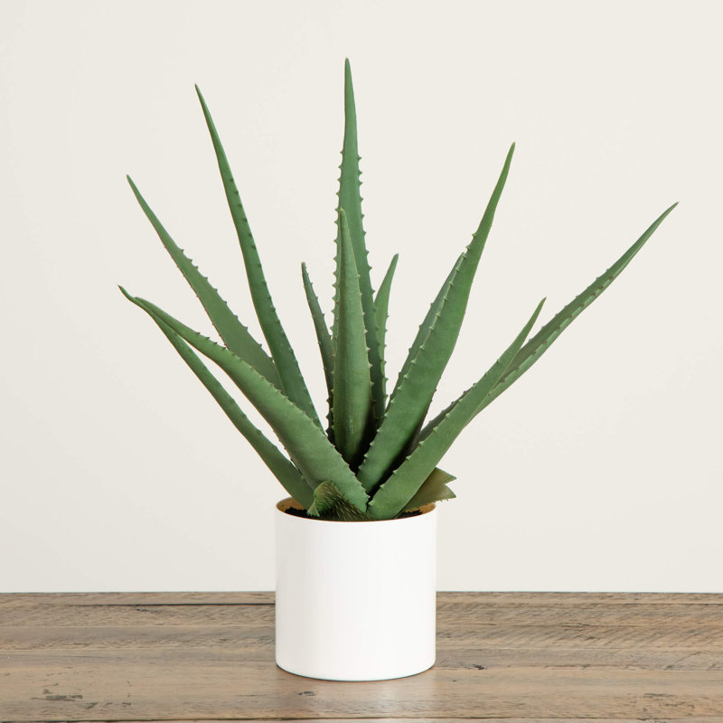 17,5 po Agave artificiel