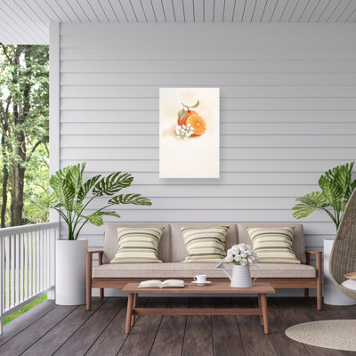 Toile d'extérieur orange juteuse Xuan