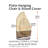 Paulding Outdoor Patio Chair Cover