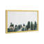 Photographie de cactus vert - cadre photo-68785446-68785447