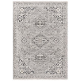 Oriental Area Rug in Grey / Dark Grey