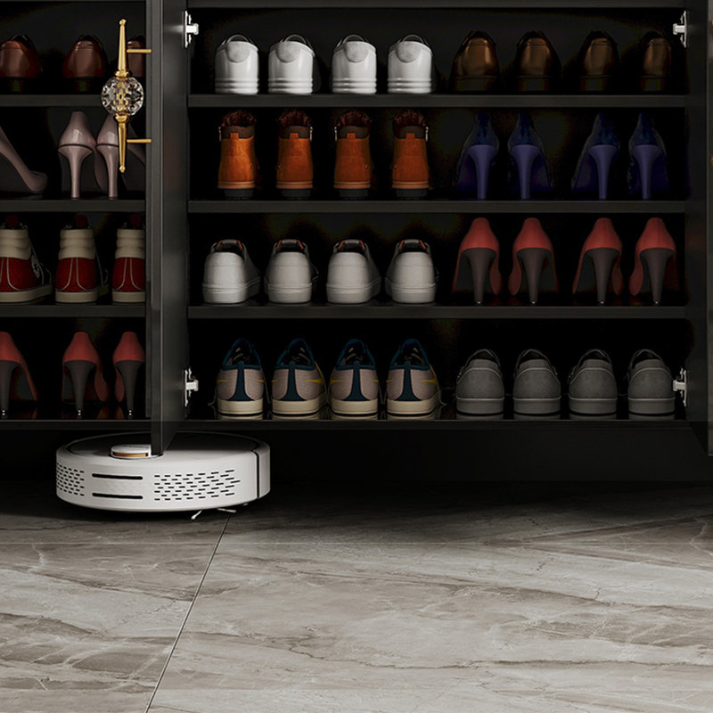 Italian style premium storage shoe cabinet