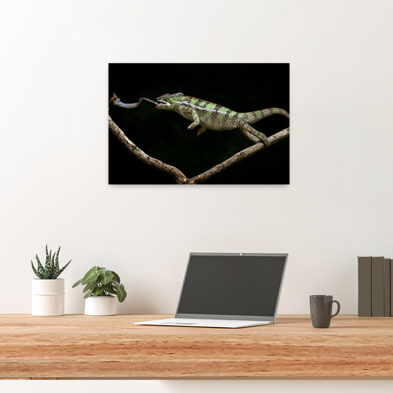 Chameleon Catching Prey Contemporary Lizard Nature Wildlife Wall Art Print 1 Piece Wrapped Canvas Wall Art