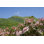 " Mountain Laurel " by Jilllang