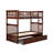 Flinn Kids Bunk Bed with Trundle-1051760533-1051760524