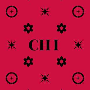 Coussin Chicago