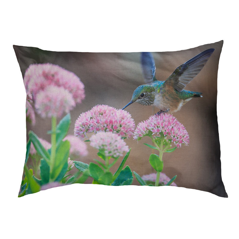 Coussin de concepteur hummingbird Burkhead, L 42 po x l 52 po, Marron foncé
