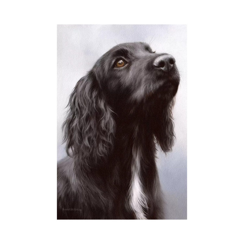 Cocker Spaniel by Rachel Stribbling - Gallery-Wrapped Canvas Giclée on Canvas, Canvas, 20.32 cm H x 30.48 cm W