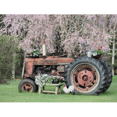 Coq au printemps par Lori Deiter